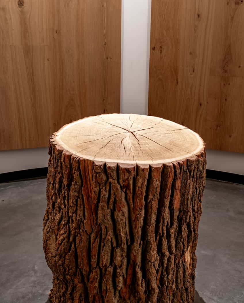 We demonstrate true loyaltyYou are part of our family